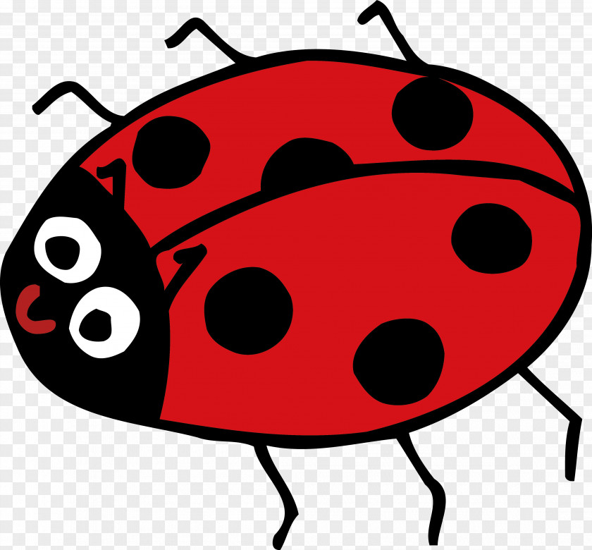 Insect Ladybird Clip Art PNG