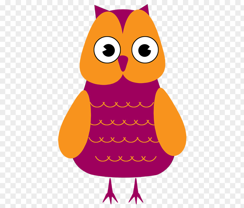 Owl Eastern Screech Bird Clip Art PNG