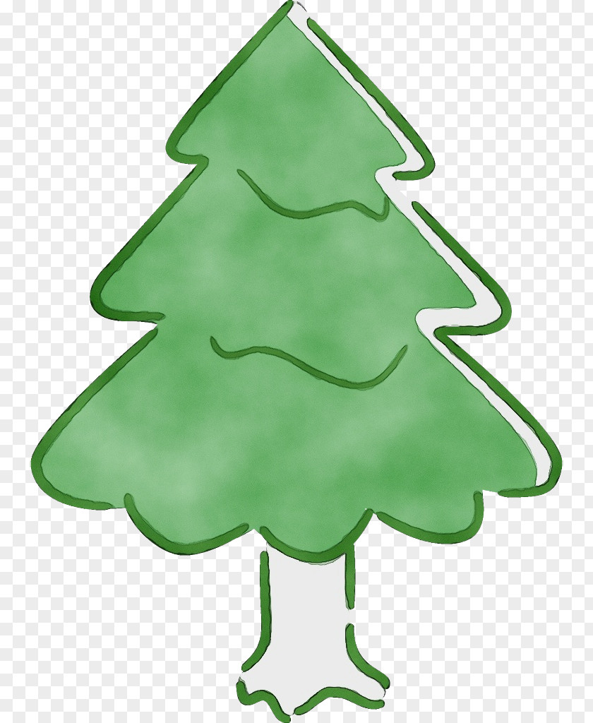 Pine Family Evergreen Christmas Tree PNG