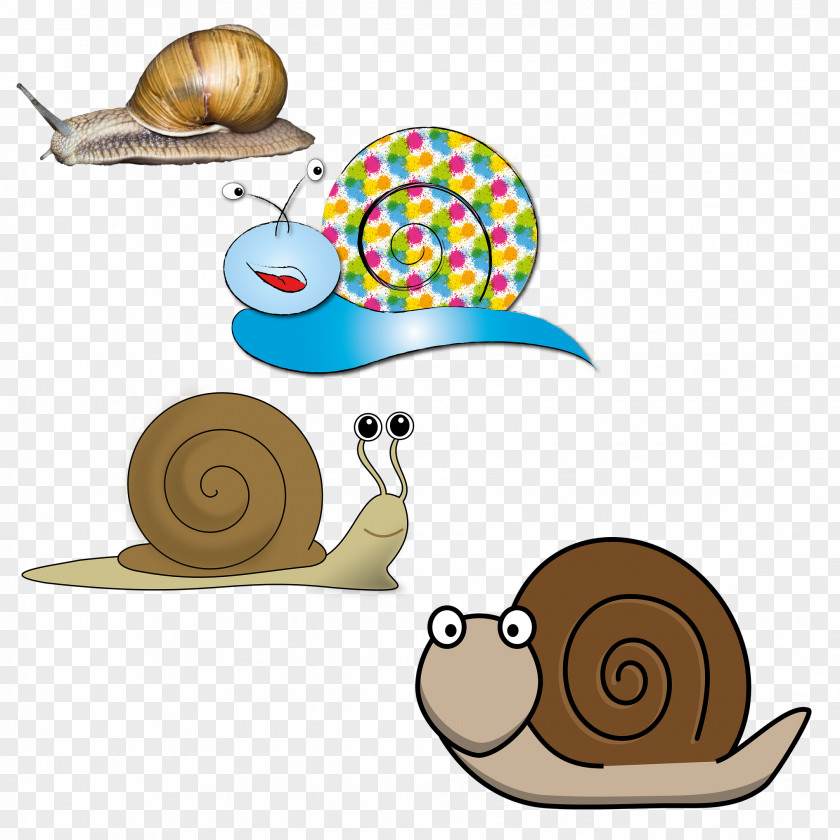 4 Snail Collection France Illustration PNG