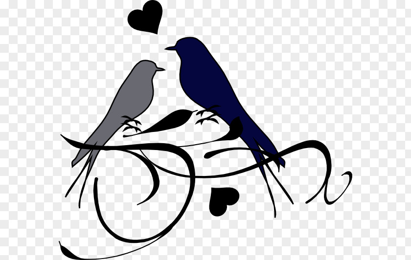 Book Lovebird Drawing Clip Art PNG