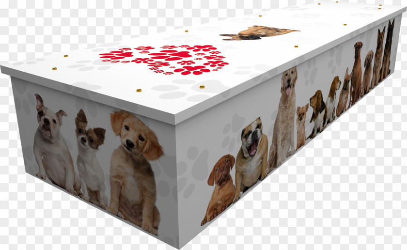 Creative Pet Dog Fantasy Coffin Funeral Box PNG