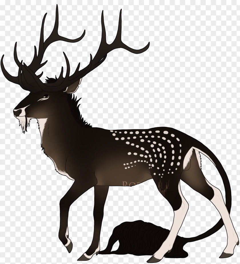 Reindeer Elk Antler White Wildlife PNG