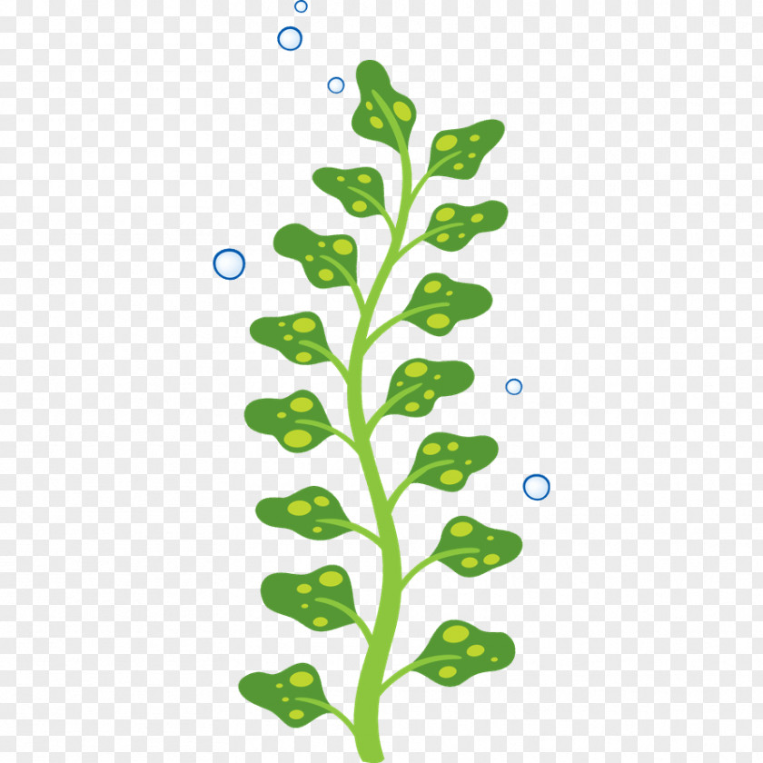 Vinilo Algae Child Seaweed Sticker PNG