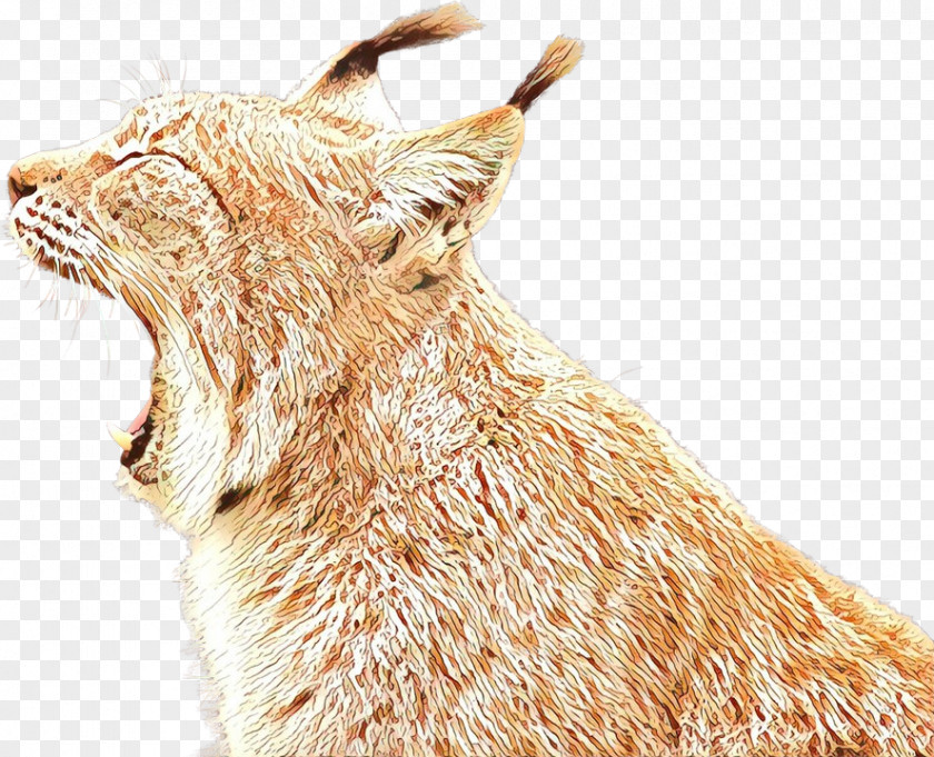Wildlife Goats Cartoon Cat PNG