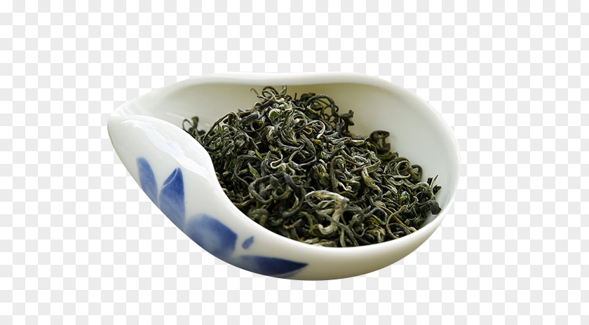 A Small Bowl Of Green Tea Queshe Xinyang Maojian Biluochun Horse Road PNG