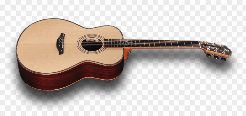 Acoustic Guitar Acoustic-electric Tiple Cuatro Cavaquinho PNG