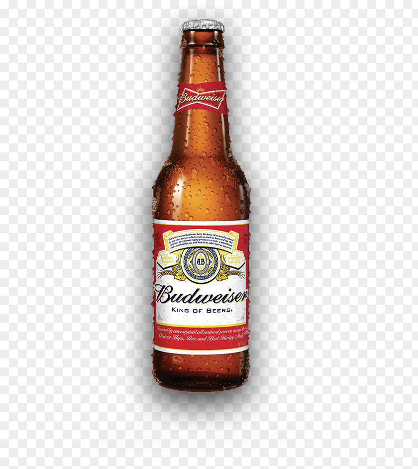 Bud Lite Keg Budweiser Beer Anheuser-Busch Lager Bottle PNG