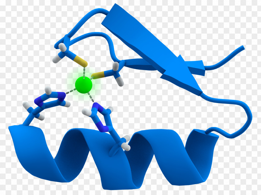 Fingers Zinc Finger Nuclease Structural Motif Sequence PNG