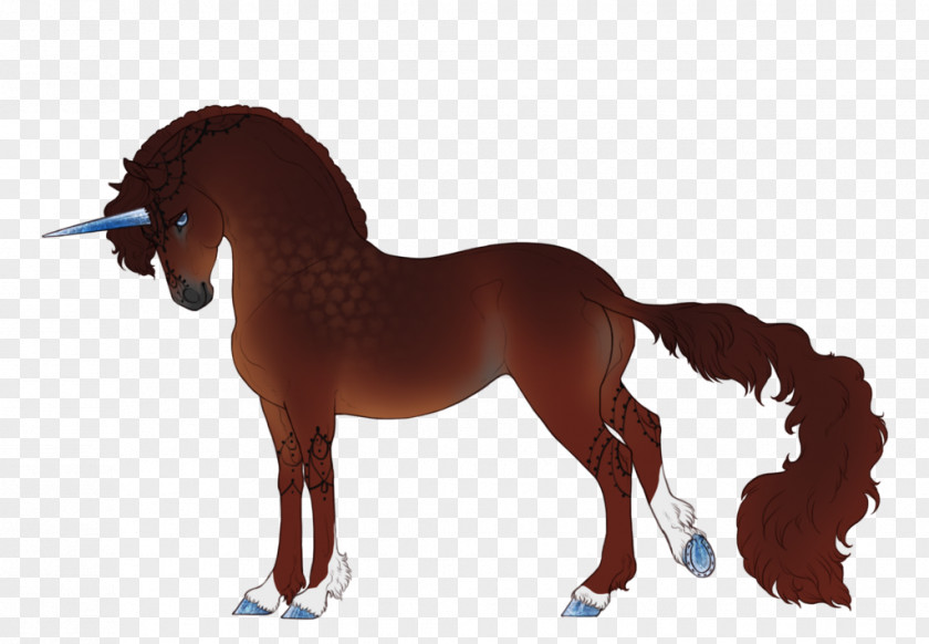 Mustang Mane Pony Stallion Mare PNG