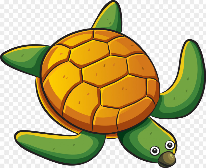 Turtle Sea Marine Biology PNG