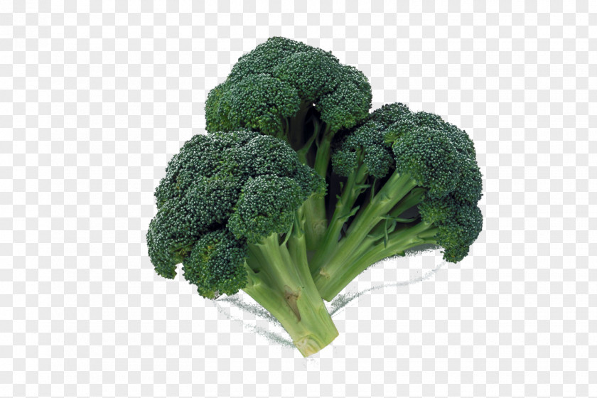 Bok Choy Fukaya Broccoli Vegetable Ingredient Food PNG