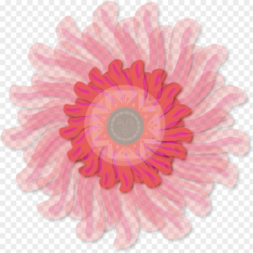 Daisy Transvaal Cut Flowers Pink Garland PNG