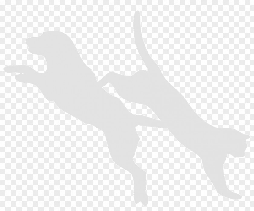 Dog Cat Finger White Mammal PNG