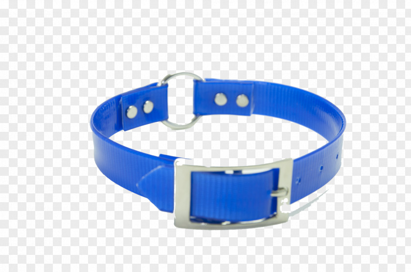 Dog Collar Watch Strap Wristband Bracelet PNG