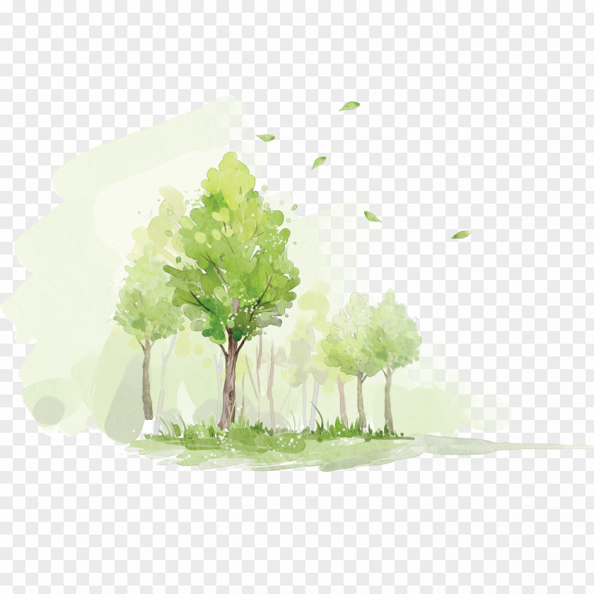 Graffiti Grove Watercolor Painting Forest PNG