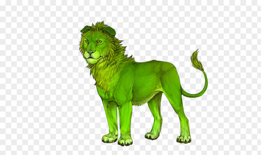 Lion Cat Terrestrial Animal Fauna Green PNG