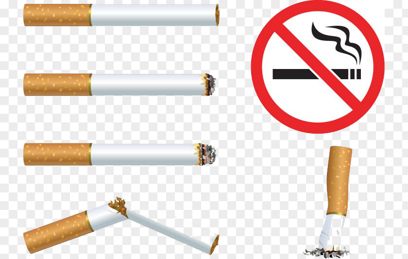 No Smoking Material Buckle HD Free The Easy Way To Stop Cessation Tobacco PNG