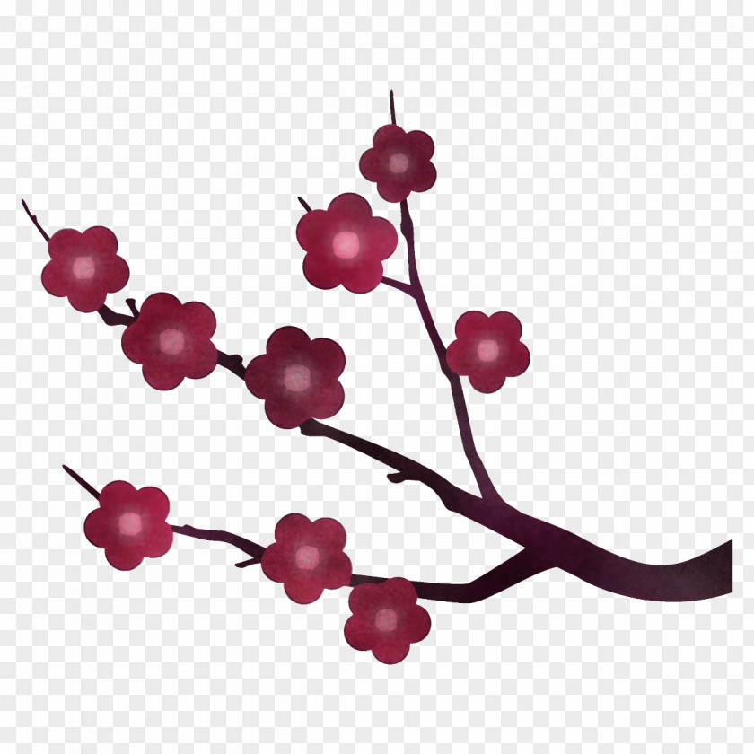 Plum Branch Winter Flower PNG