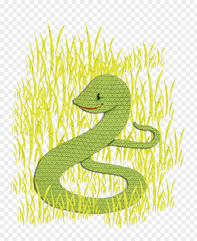 A Snake In The Grass Drawing Weed PNG