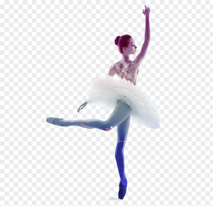 Ballet Dancer Tutu Stock Photography PNG