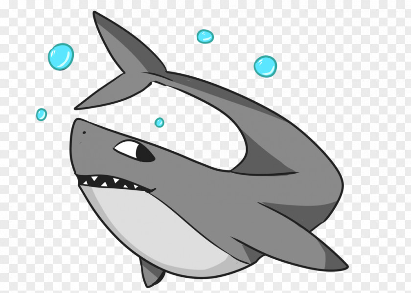 Dolphin Shark Killer Whale Clip Art PNG