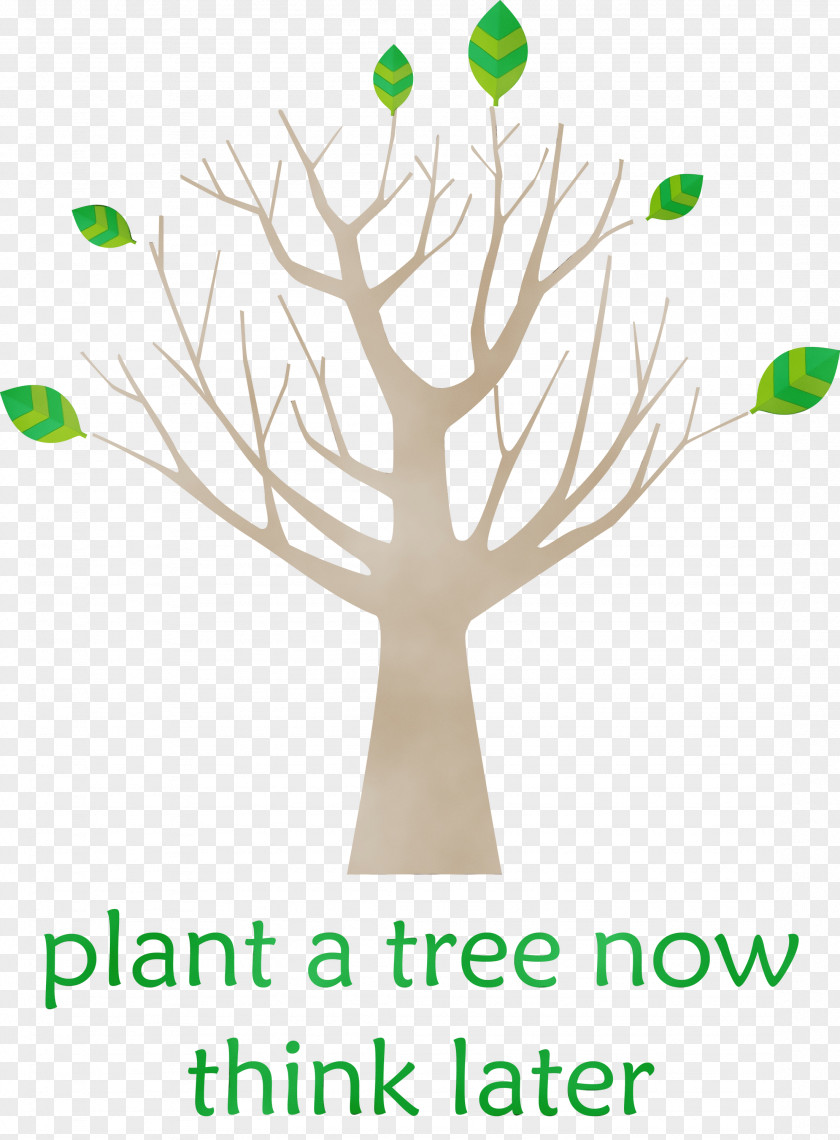 Tree Broad-leaved Leaf Plant Stem Plants PNG