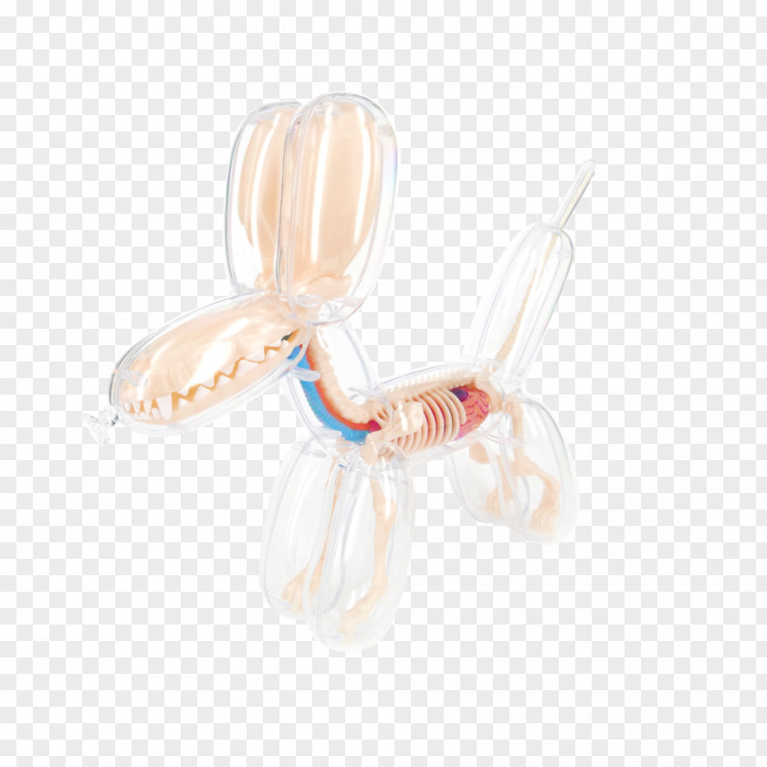 Balloon Dog Anatomy Skull PNG