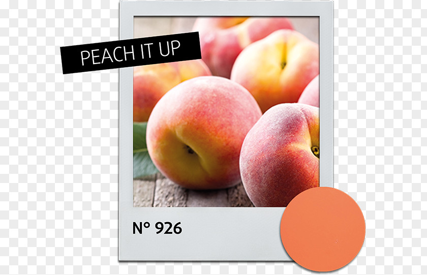 Colour Explosion Peach Fruit Cordial Food Nectarine PNG