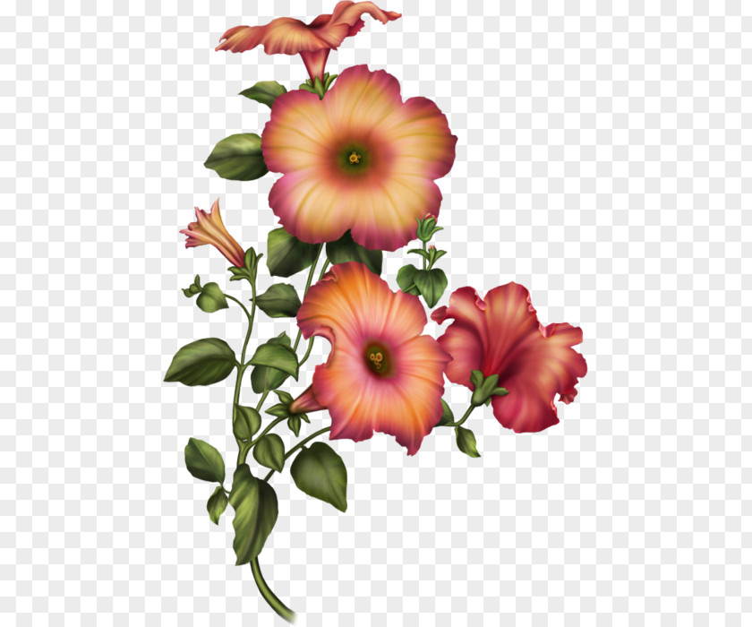 Flower Cut Flowers Painting Desktop Wallpaper PNG