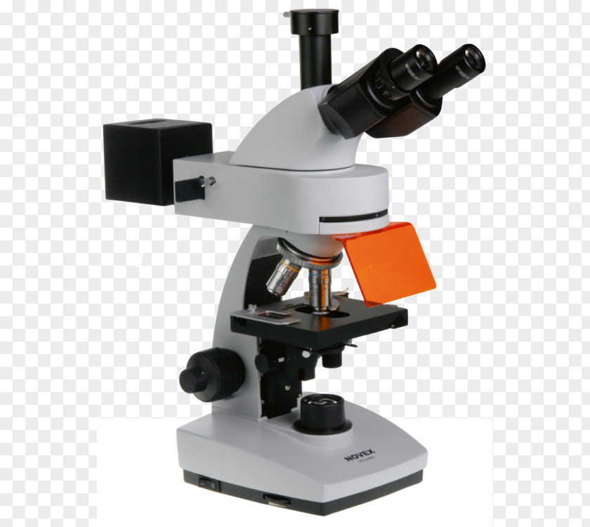 Fluorescence Microscope Eyepiece Microscopy PNG