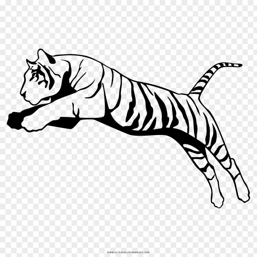 Tiger Hardwiring Happiness Drawing Bengal Symbol PNG