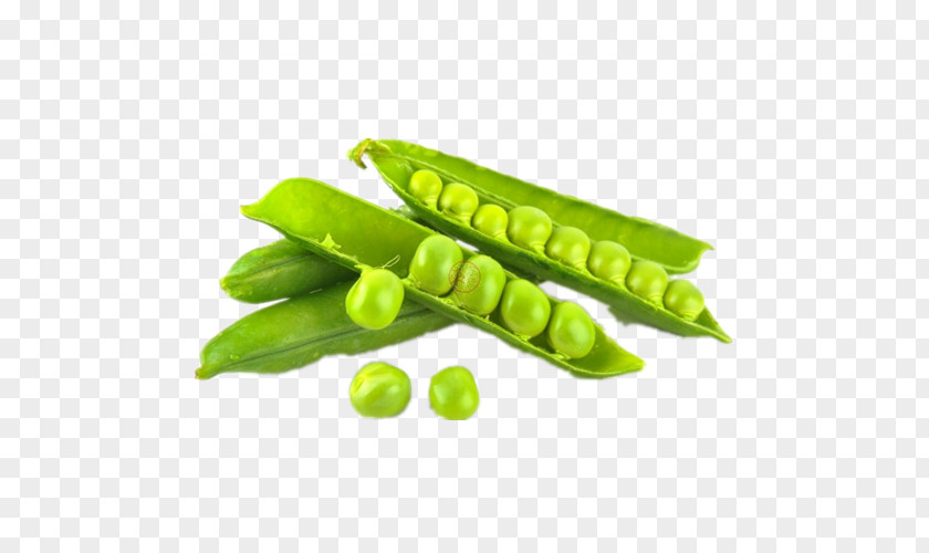 Vegetable Snap Pea Snow Pigeon Dal PNG