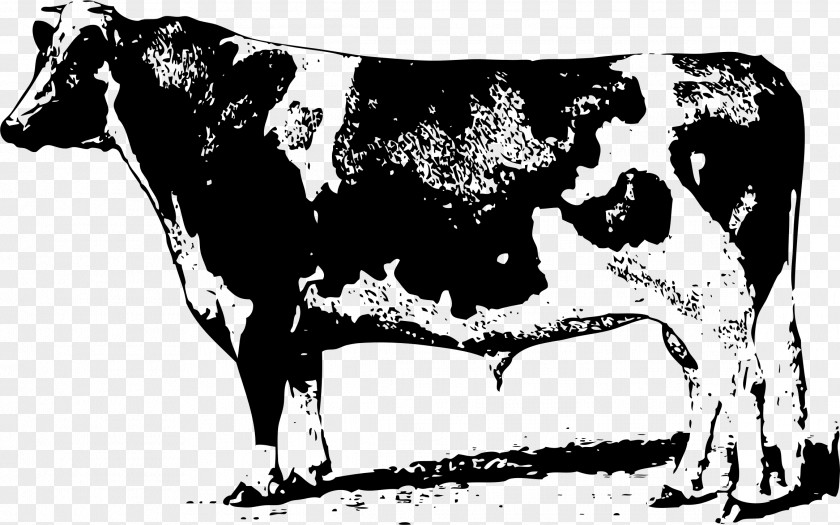 Cow Cattle Clip Art PNG