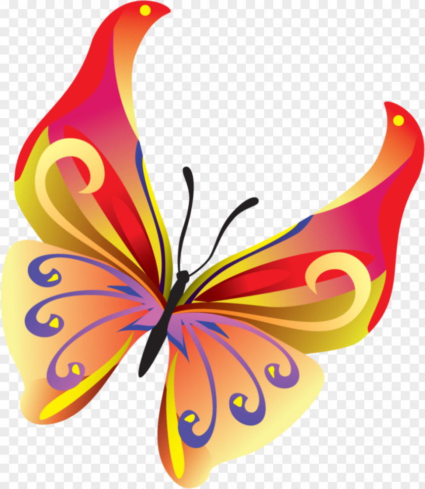 Fly Butterfly Insect Clip Art PNG