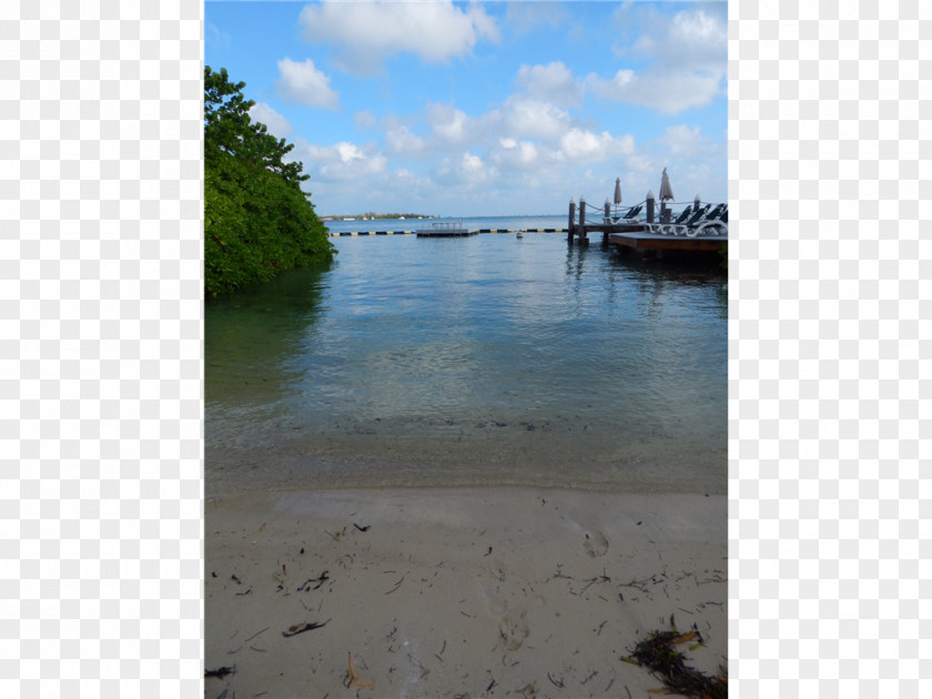 Key West Shore Water Resources Wetland Coast Beach PNG