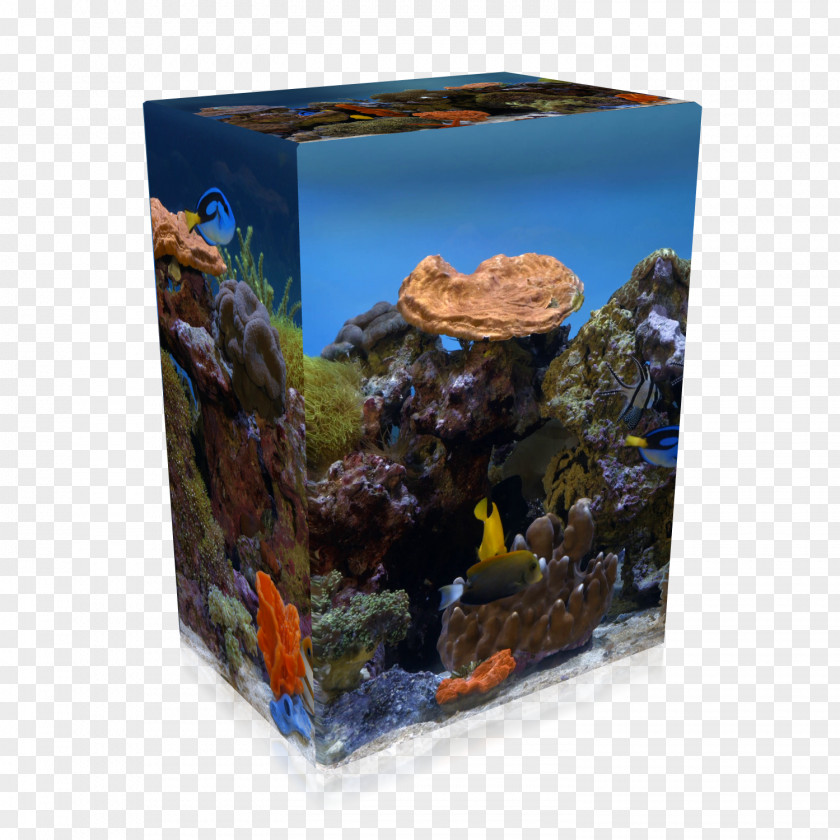 Reef Aquarium High Efficiency Video Coding Digital Blu-ray Disc 4K Resolution PNG