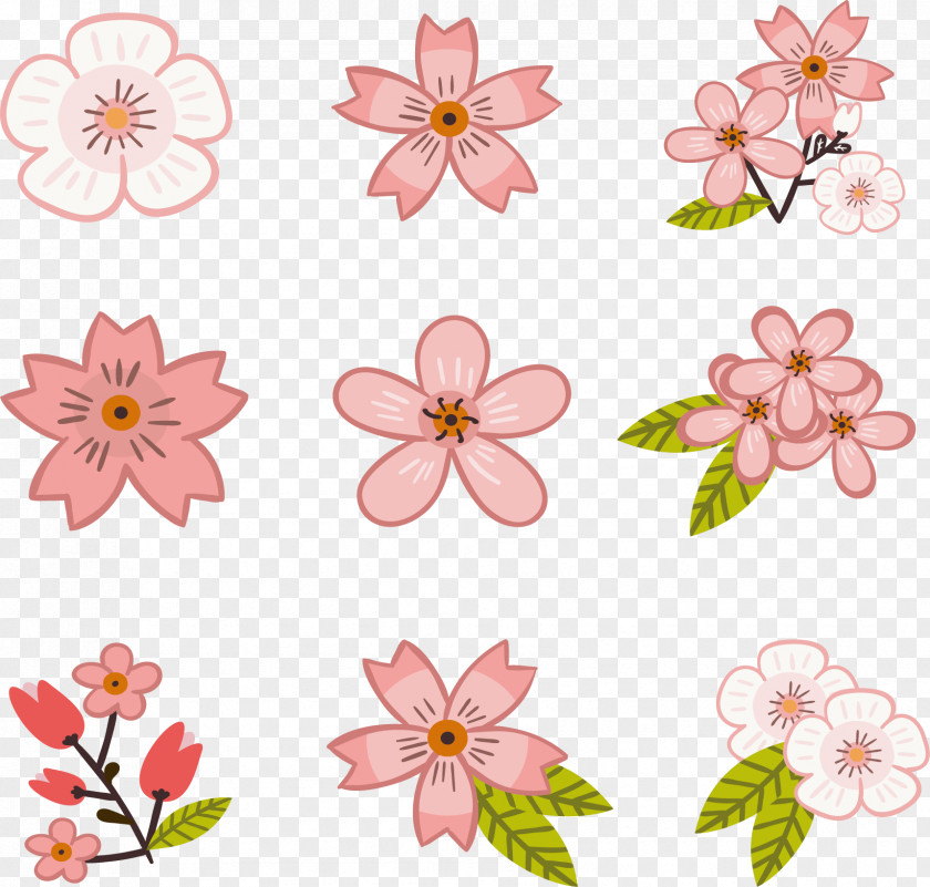 A Wide Variety Of Cherry Blossoms National Blossom Festival Pink PNG