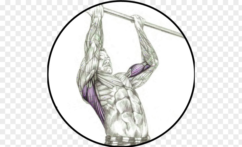 Arm Chin-up Pull-up Muscle Exercise PNG