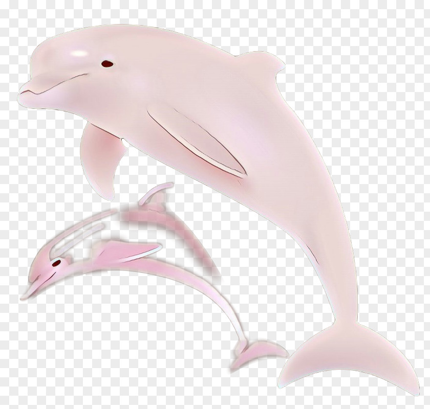 Dolphin Product Design Pink M PNG