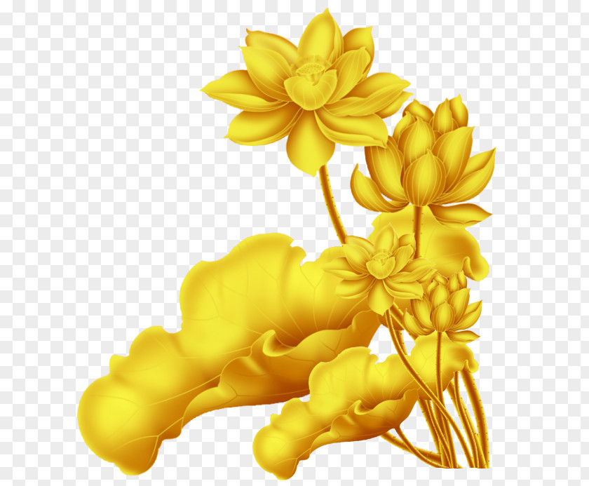 Golden Lotus Pattern Nelumbo Nucifera Clip Art PNG