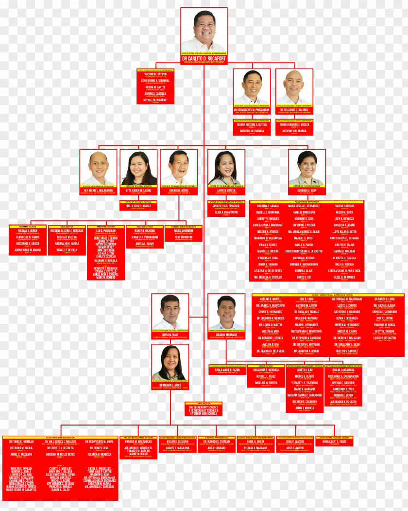 Organization Chart Batangas City Organizational Department Of Education Structure PNG