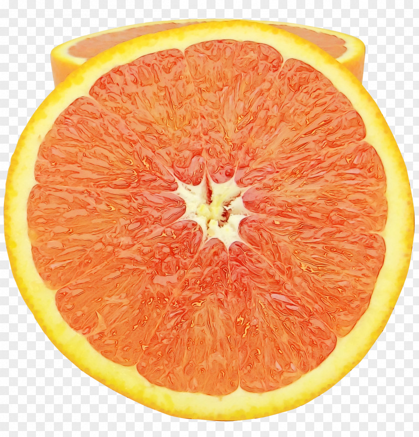 Plant Pomelo Orange PNG