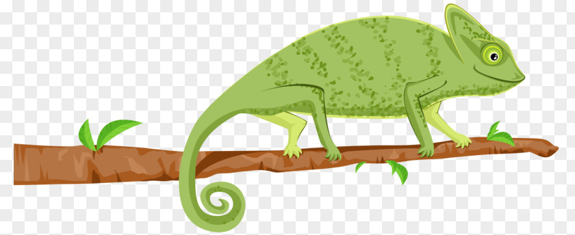 Chameleons Wall Decal Etsy PNG