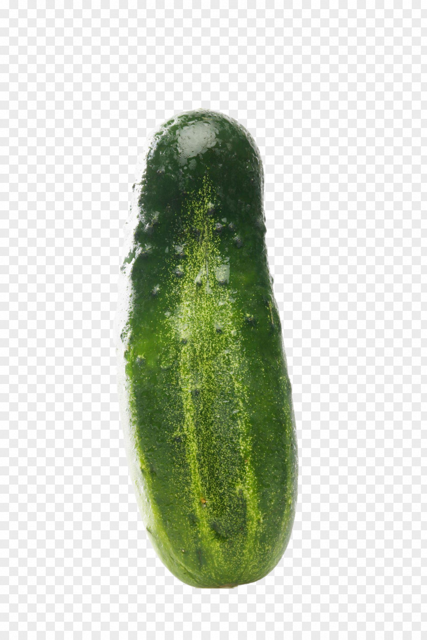 Cucumber Pickled Chat Line Vegetable PNG