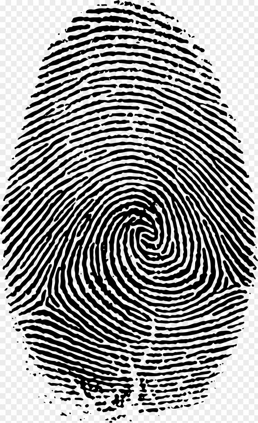 Big Fingerprint Live Scan PNG