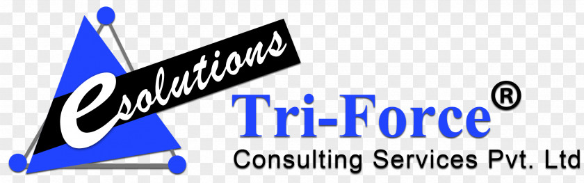 Business Triforce Inc Consultant Software Development PNG