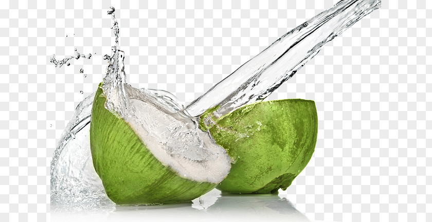 Coconut Water Sports & Energy Drinks Juice Milk PNG