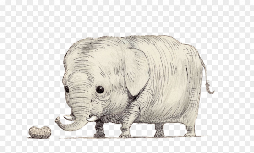 Cute Elephant With Big Eyes And Short Limbs, Nose Rhinoceros Riding An Shooting Illustration PNG
