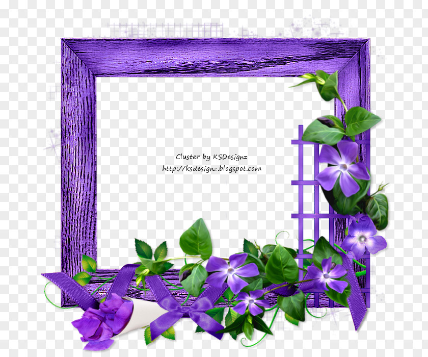 Design Floral Picture Frames Font PNG